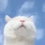 mocoの画像