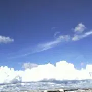 みるも