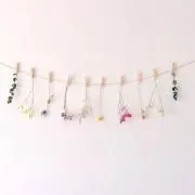 can.の画像