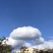 うまれかおりの画像