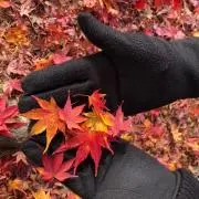 ネオユニの画像