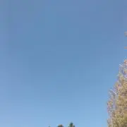 tyの画像