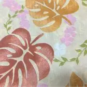 くまこ