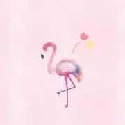 ‧✩͓̊ flamingo