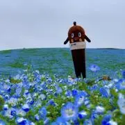 コロママ