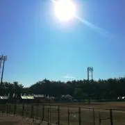 メープル☻の画像