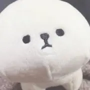 おまめの画像