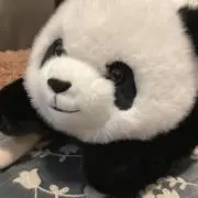 かなみの画像