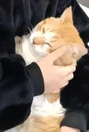 ほのママの画像