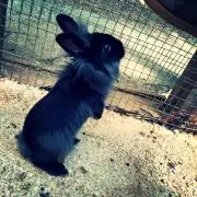やまだ