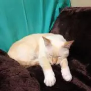 ヒロちゃん