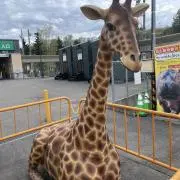 T9【断捨離中！値下げも検討します！】の画像