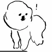 kamyの画像