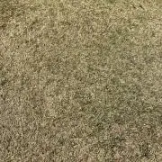 即購入可の画像
