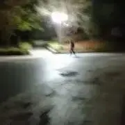 もるの画像