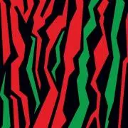 Image of Native Tongues