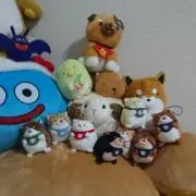 四葉の画像