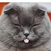 hmiの画像