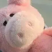 ブタさんだぞ！の画像