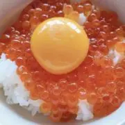 DONの画像