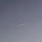 mooの画像