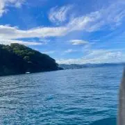 るる(無言取引可)の画像