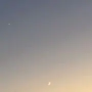 ゆうほ（土日発送できない場合あり）の画像
