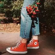 LILYの画像
