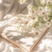 amの画像