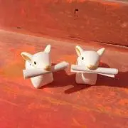 たぬぴちの画像