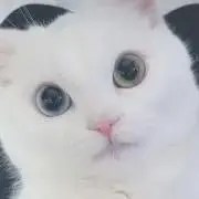 み
