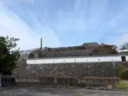 ドラの画像