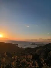 おたかの画像