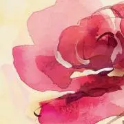 akari☺︎