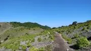 NOYTAの画像