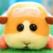マロ　売り切りセール中の画像