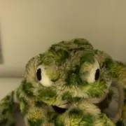 キョロの画像