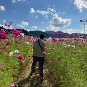 やすはの画像