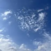 ましの画像