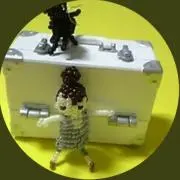 めぐあき