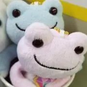 まめちゃんの画像