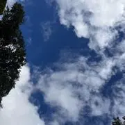 はるしんの画像