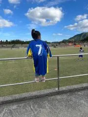 サンバの画像