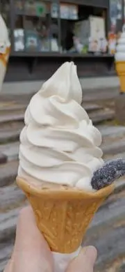 花豆の画像