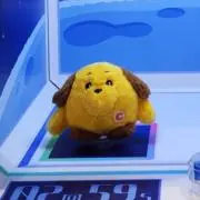 わっくすの画像
