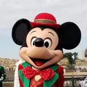 だまみの画像