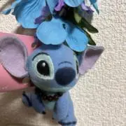 Kグループの画像
