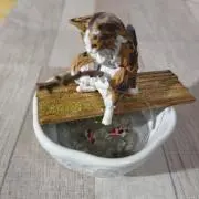 ぬこの画像