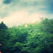 サキ