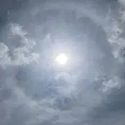DUYの画像